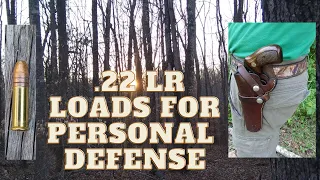 22 LR Loads for Personal Defense