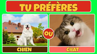 Tu préfères ? Édition Chats vs Chiens! 🐱🆚🐶 | Galaxie Quiz 🥊🐾