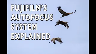 The Fujifilm X-Series Autofocus System Explained