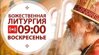 Трансляция: Литургия. 17 января  2021 (воскресенье)  09:00