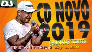 LA FÚRIA | NOVO CD 2019 | MÚSICAS INÉDITAS PRA PAREDAO