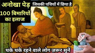 आयुर्वेद की अद्भुत शक्ति भोजन से पहले एक चम्मच खाएं | Health Tips | Buddha Inspired