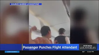 Passenger sucker punches flight attendant on flight destined for LAX