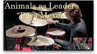 Eugene Novik - Animals as Leaders "Para Mexer" (Drum Cover)