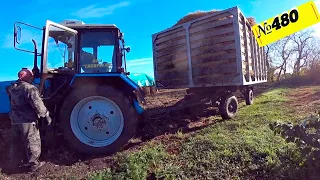 Загнал жену на верх, а сам командую снизу. Заготовка кормов на зиму. Омск Москаленки жизнь в деревне