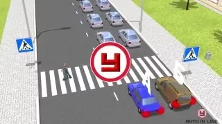 Пешеходные переходы и места остановок маршрутных транспортных средств