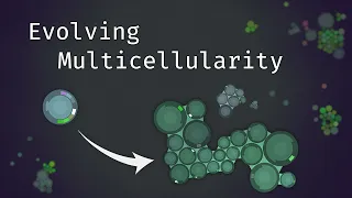 Simulating an Evolving Microcosmos: The Path to Multicellularity