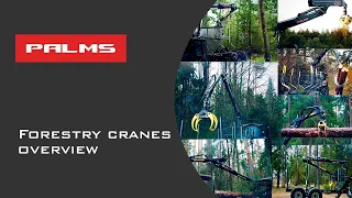 PALMS Forestry Cranes Overview