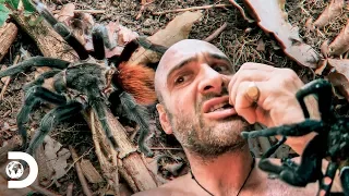 As comidas mais raras: comer ou desfalecer de fome | Ed Stafford: O sobrevivente | Discovery Brasil