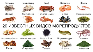 Топ 20 ИЗВЕСТНЫХ ВИДОВ МОРЕПРОДУКТОВ