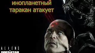 alien vs predator 2010(ТАРАКАН АТАКУЕТ)