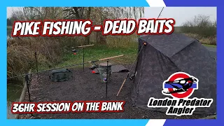 36Hr Pike Fishing Dead Bait Overnigther