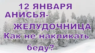 12 Января Анисья-Желудочница. Как не накликать беду? Народные приметы.