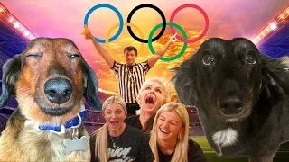 Dog Olympics 2024: Discovering Our Dogs' Favorite Family Member!