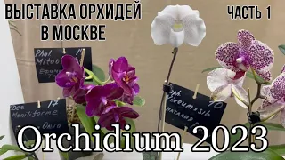 Orchidium 2023 || Выставка орхидей в Москве || Часть 1
