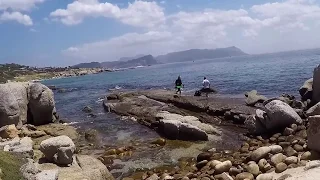 2018-12-01 Dive at A Frame, Simon's Town, Cape Town