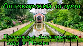 Аптекарский огород / Прогулка по Ботаническому саду в Москве