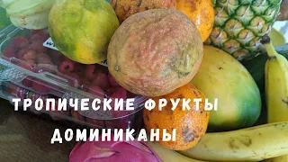 ТРОПИЧЕСКИЕ ФРУКТЫ ДОМИНИКАНЫ - ПРОБУЕМ ВМЕСТЕ С ВАМИ , фургон с фруктами на улицах Доминиканы