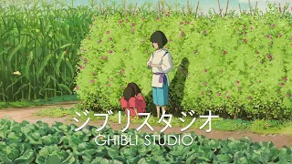 Best Ghibli Piano🌿 Beautiful Timeless Piano Pieces From Ghibli Movies 🌿Ghibli Music 2024 #live37