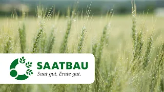 Moderne Getreideproduktion – Wintergerste und Winterweizen ernten | SAATBAU ACKERdemie Webinar