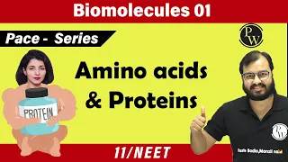 Biomolecules 01 | Amino Acids and Proteins | 11 | NEET | PACE Series