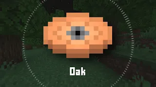 Oak (Custom Minecraft Music Disc)