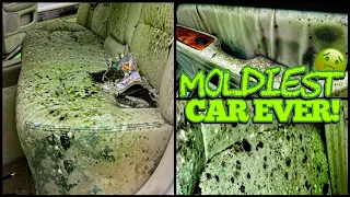 Deep Cleaning the MOLDIEST BIOHAZARD Lexus EVER! | Satisfying DISASTER Car Detailing Transformation