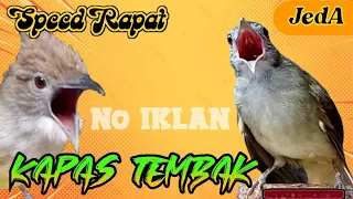 MASTERAN KAPAS TEMBAK SPEED RAPAT JERNIH (TEMBAKAN PEDAS) JEDA 1 MENIT plus TERAPI AIR