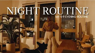REALISTIC NIGHT ROUTINE: my 5-9 evening routine after work