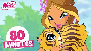 Winx Club - 80 MIN | Episódios completos | Descubra os animais com o Winx Club 🧚‍♀️🐯✨