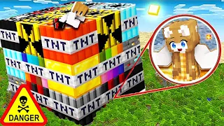 21+ NEW TNT in MINECRAFT!!!