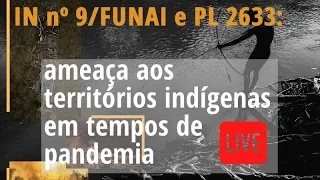 IN n. 9 da Funai e PL 2.633: Ameaça aos Territórios Indígenas em Tempos de Pandemia