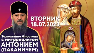 Вторник, 18 июля 2023 года. Толкование Апостола с митр. Антонием (Паканичем).