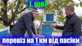 Наслідки перевезення бджіл на 1 км від пасіки,  Вулики на 8 рамок замість 12.