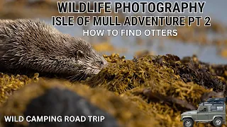 WILDLIFE PHOTOGRAPHY | HOW TO FIND Otters | Isle of Mull, Scotland | Canon R3 & EF 500mm F4 Mk II