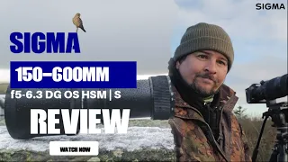 Sigma 150-600mm f5-6.3 DG OS HSM | sports lens review (Also 1.4x TC)