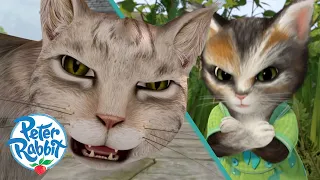 ​@OfficialPeterRabbit - Pawsome Cat Adventures on World Cat Day 🐈 🐱 | @OctonautsandFriends