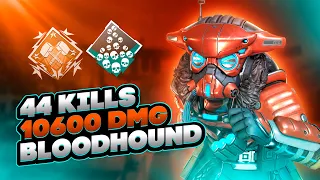 ЗР-175! 44 KILLS & 10600 DMG ON BLOODHOUND.EXE, FOR 2 GAMES бладхаунд гайд апекс легенд apex legends