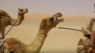 Deserted By Desert Camels - Ben & James Versus The Arabian Desert - BBC