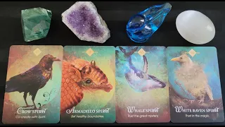 🌹 What Are They Thinking About You and This Connection Right Now? 🔮💕✨ PICK A CARD Timeless Tarot