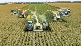 BEST OF MAIZE HARVEST | John Deere, Fendt, Case IH, Claas Tractors & Harvesters