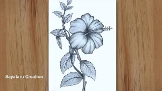 How to draw a hibiscus flower step by step pencil sketch | China rose Drawing for beginners