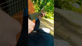 ost Монстр в Париже [ Guitar Fingerstyle Cover ]