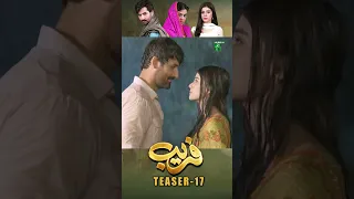 Fareb - Teaser - Episode 17 #shorts #humtv #zainabshabbir #zainbaig