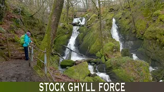Stock Ghyll Force | Waterfall walk Ambleside in the Lake District
