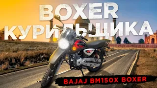 Bajaj Boxer BM150X - дешевый аналог Yamaha YBR-125