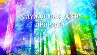 О ДОМОВОМ, БЕРЕНДЕЕ И ДРУГИХ СЛУЖЕБНЫХ ДУХАХ.(КНИГА "КОЩУНЫ ФИНИСТА ЯСНО СОКОЛА" Трехлебов А.В) 2019