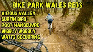 EPIC Reds At Bike Park Wales - Fanatics Rideout!!