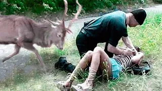 Girl Gave Up Struggle When Pushed down, But a Deer Stopped The Man in an Incredible Way..