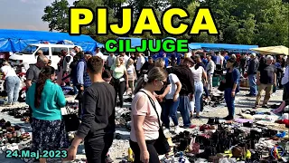 Pijaca Ciljuge nikad bolja i jeftinija 24.5.2023